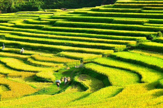 3 Days Pu Luong Off-road Trekking Best for Mountain Lovers - What makes this Pu Luong trip worth considering