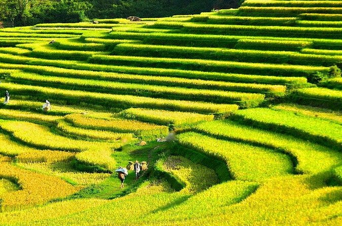 3 Days Pu Luong Off-road Trekking Best for Mountain Lovers - Who Will Enjoy This Trip Most
