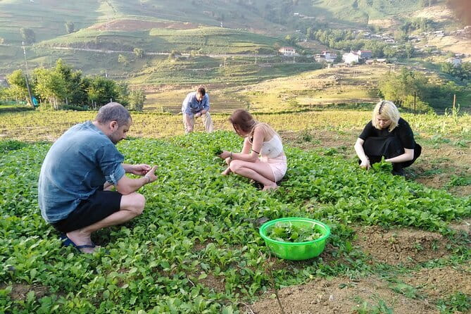 3-Days Sapa Trekking With Local Guide Overnight in Tavan Village - Why this Sapa trek works
