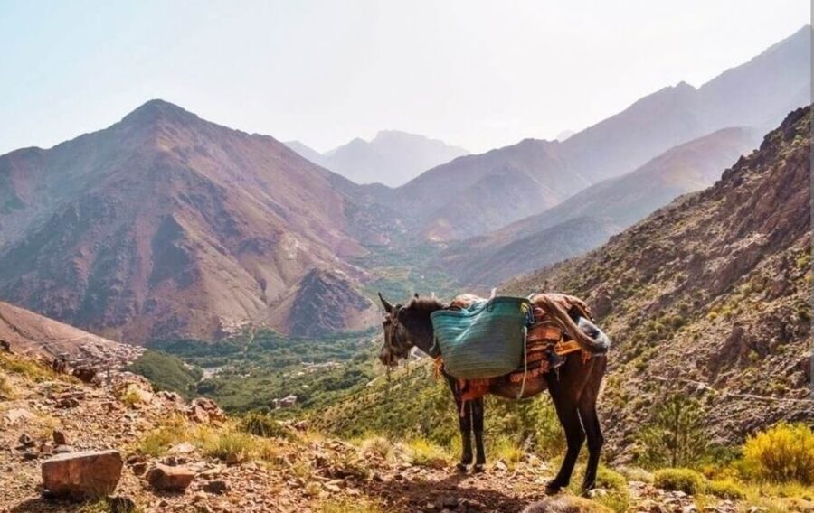 3 Days Trek Atlas Mountains Berber Villages from Marrakech - Should you book it?