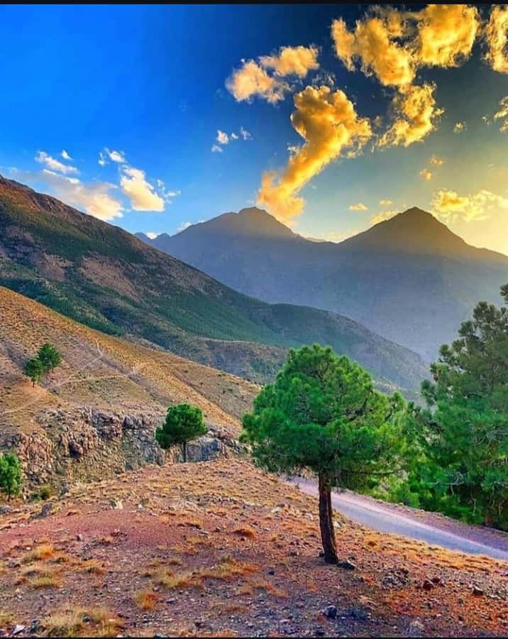 3 Days Trek Atlas Mountains Berber Villages from Marrakech - What the guides add to the trip