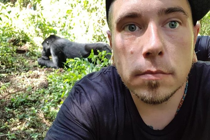 3 Days Uganda Gorilla Trekking Safari - Kigali to Bwindi: a big change in scenery