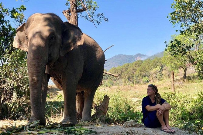 3-in-1: Doi Inthanon Tour, Elephant Sanctuary, and Trekking Trail - Walking the Pha Dok Seaw trail