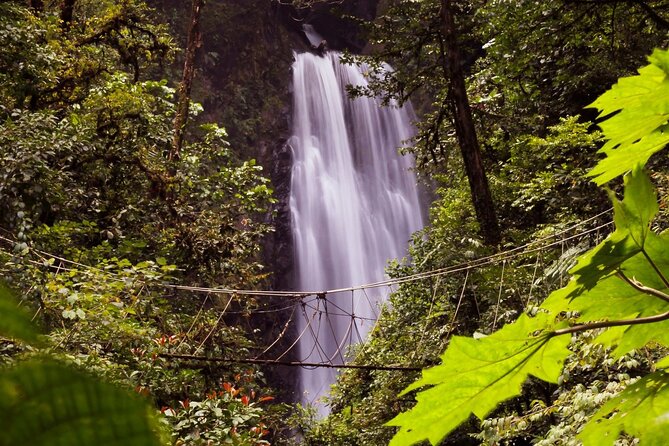 3-in-1 Monteverde Cloud Forest Waterfalls, Wild Trekking and Horseback Riding - The walk from mountain top to river