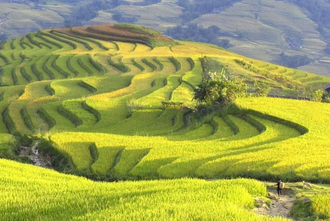 3-Night Sapa Trek and Homestay with Round Trip Transfer from Hanoi - The overnight train from Hanoi
