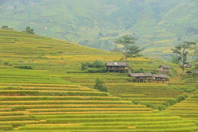 3-Night Sapa Trek and Homestay with Round Trip Transfer from Hanoi - Meeting Hmong, Zay, and Red Zao communities