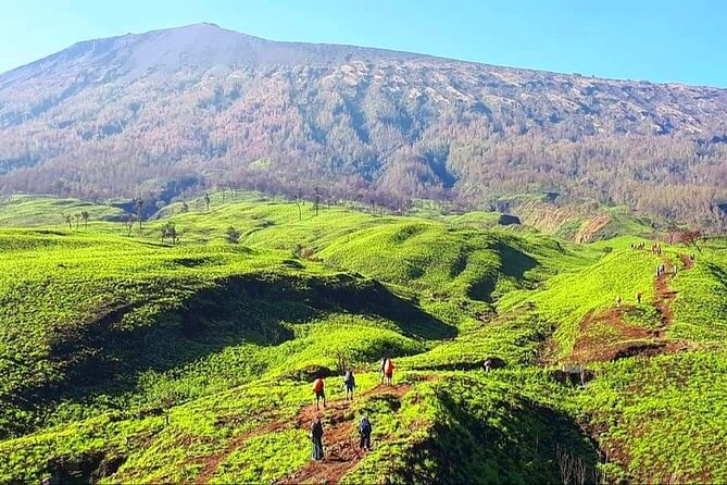 3D 2N Mount Rinjani Trekking Tour To Summit And Lake - Day 2: The 3:00 AM push to Rinjani’s summit