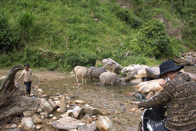 3D2N- Rice Terraces Treks & Easy rider from Sa Pa - Day 3: A streamside trek through H’mong villages