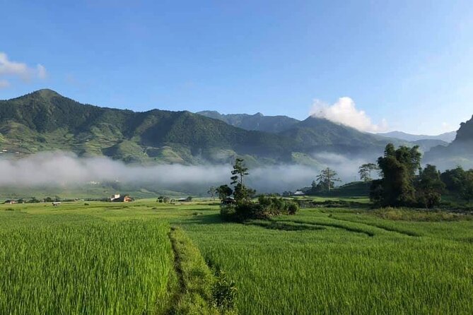 3D2N- Rice Terraces Treks & Easy rider from Sa Pa - What the transport schedule means for you