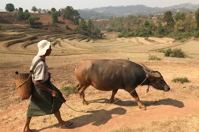 3Days Less Touristic Way Trekking from Kalaw To Inle - Day 2: Vegetable fields, hill villages, and a monastery