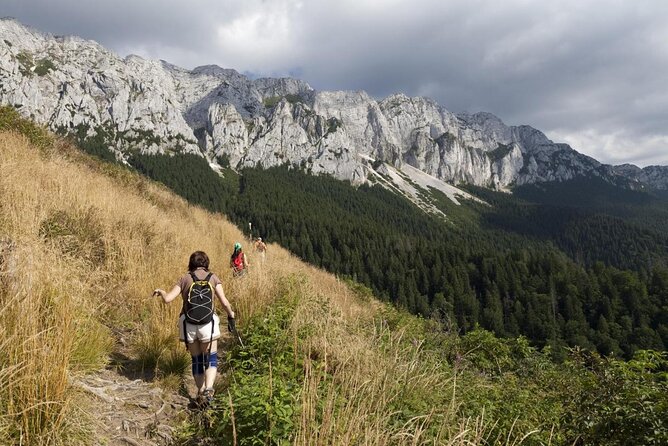 4-Day Carpathian Trek: Bucegi Mountains and Piatra Craiului National Park - Key points to know before booking