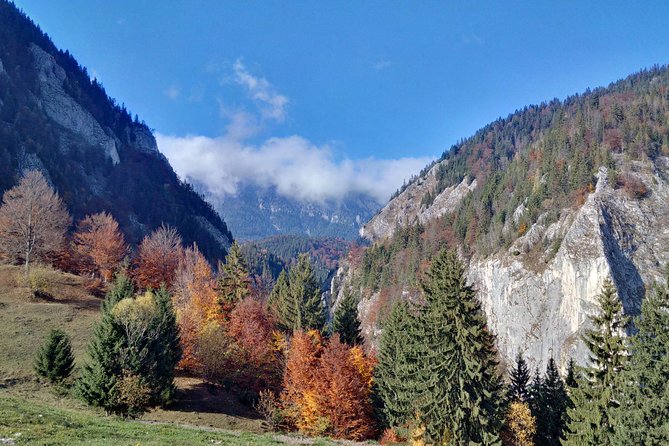 4-Day Carpathian Trek: Bucegi Mountains and Piatra Craiului National Park - Fitness, equipment, and weather