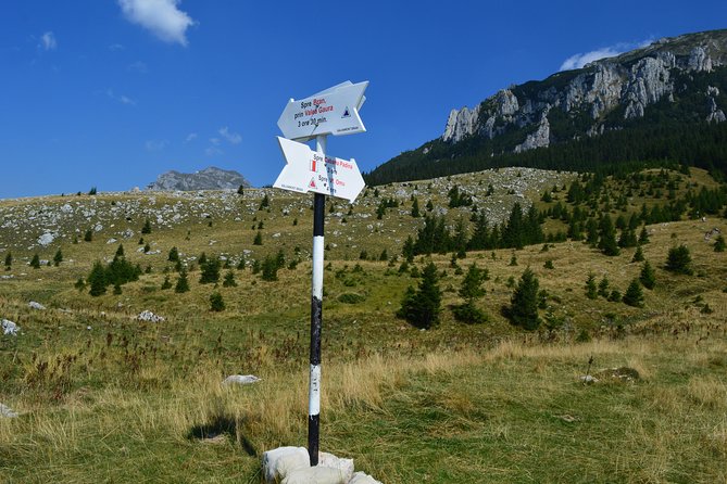 4-Day Carpathian Trek: Bucegi Mountains and Piatra Craiului National Park - Who should book this Carpathian trek?