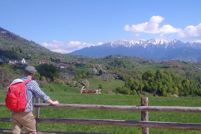 4-Day Carpathian Trek: Bucegi Mountains and Piatra Craiului National Park - Days two through four in Piatra Craiului