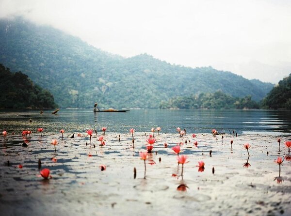 4-Day Jungle Trekking in Ba Be National Park - Key points to know before you book