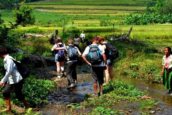 4-Day Jungle Trekking in Ba Be National Park - Why Ba Be works better as a four-day trip