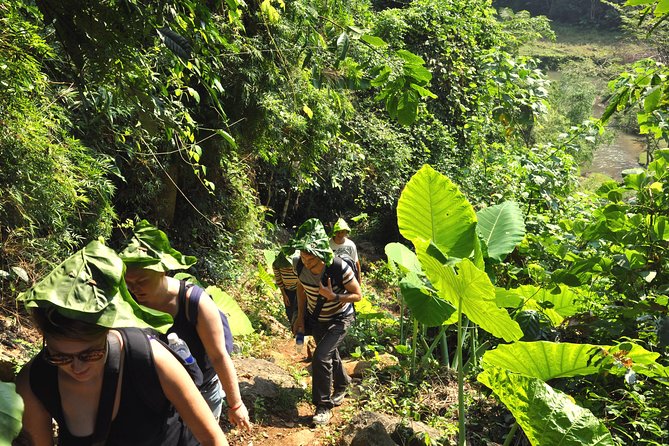 4-Day Jungle Trekking in Ba Be National Park - Day 2: Coc Toc, Pe Lu Stream, and the Hmong uplands