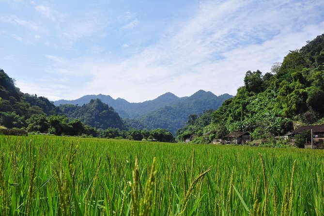 4-Day Jungle Trekking in Ba Be National Park - Three homestays and ten included meals