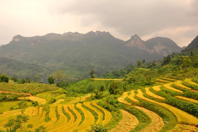 4-Day Jungle Trekking in Ba Be National Park - Day 1: From Hanoi to a Tay stilt house