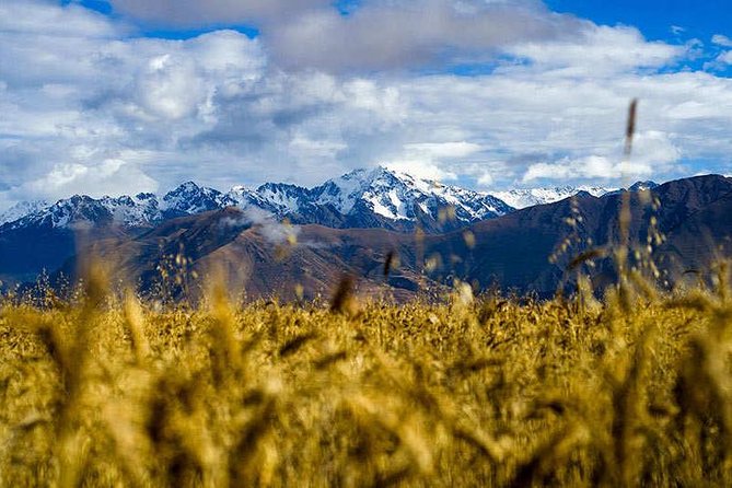 4-Day Lares Trek to Machu Picchu - Ollantaytambo and the train to Aguas Calientes