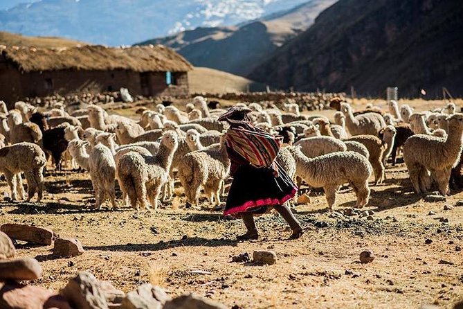 4-Day Lares Trek to Machu Picchu - Day 1: Pumahuanca and the first long climb