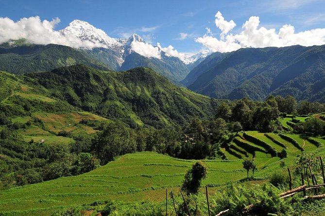 4-day Poon Hill Trek - The sunrise at Poon Hill