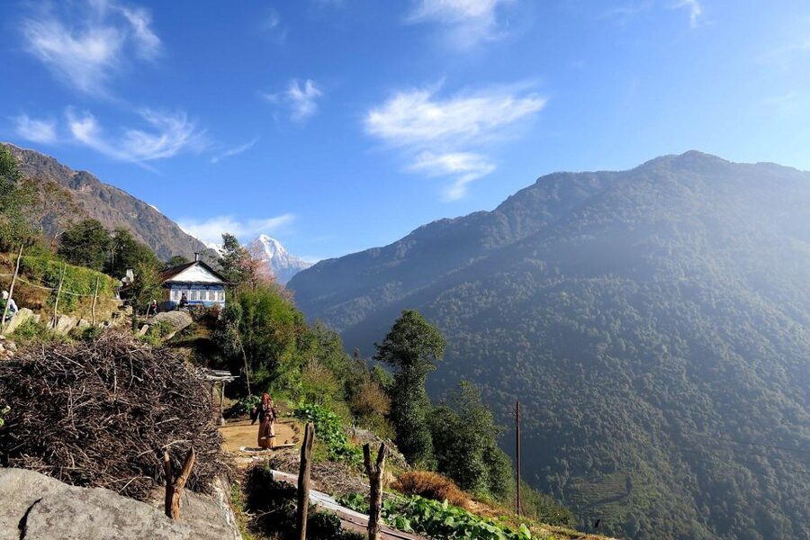 4 Day Poon Hill Trek from Pokhara - Guide support and group size