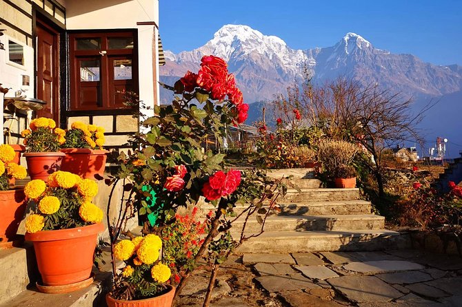 4-Day Private Poon Hill Trekking Tour - Day 3: The early climb to Poon Hill