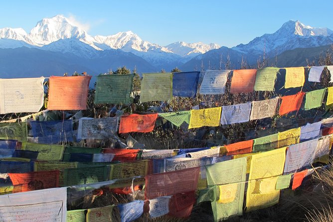 4-Day Private Poon Hill Trekking Tour - Day 1: From Nayapul to Ulleri in about six hours