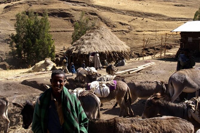 4 Day Trekking Simien Mountains - Gich, the Jinbar waterfall, and a five-hour second day