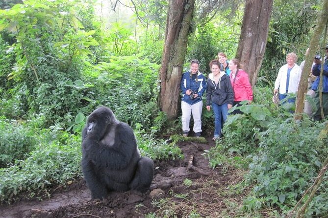4 Days Gorilla Trekking, Lake Bunyonyi and Rwanda National Parks - Why this four-day route works
