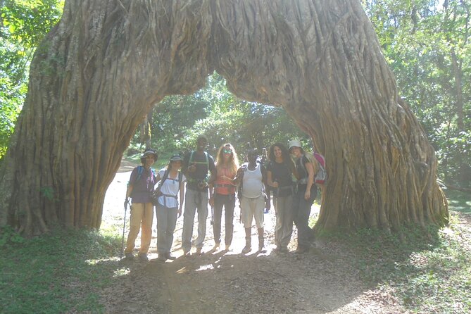 4 Days Mount Meru Climbing | Hiking | Trekking Tour - Food, huts, and what the $2,600 covers