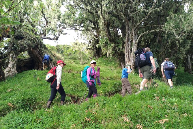 4 Days Mount Meru Trekking - Day four: the northern route back to Arusha