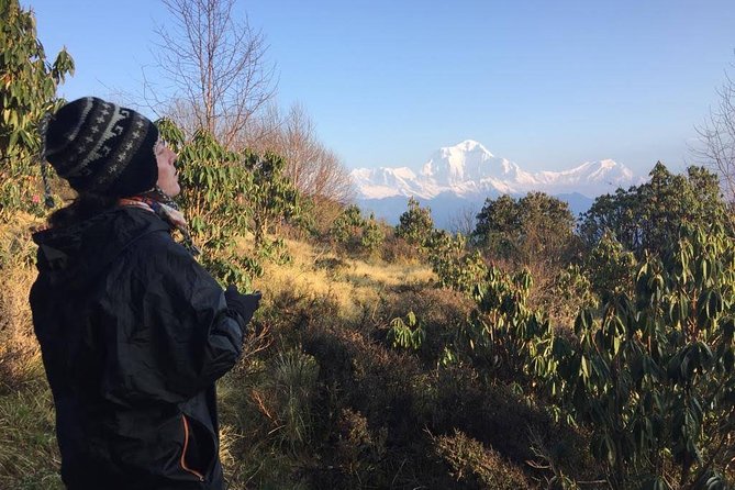 4 Days Poon Hill Trek - The route through Ghorepani, Tadapani, and Ghandruk
