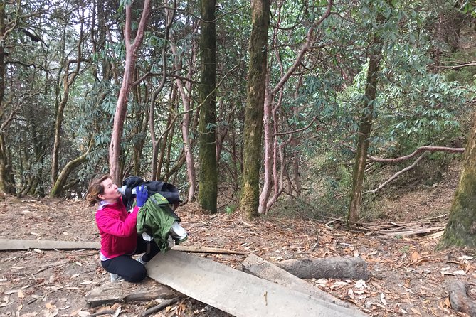 4 Days Poon Hill Trek - Tea houses, food, and daily comfort