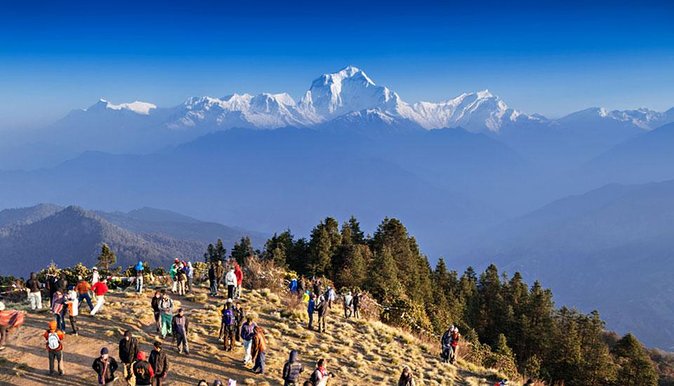 4 Days Poonhill Trek From Pokhara To Pokhara - Day 1: Nayapul to Ulleri and 3,200 stone steps