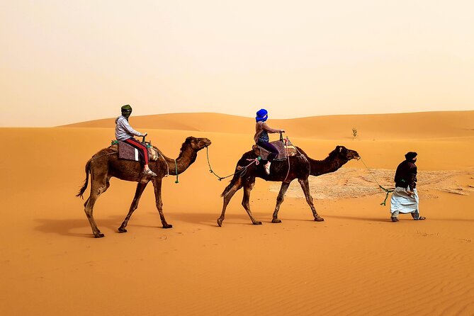 4 days trek - The legs of camels - Key points at a glance