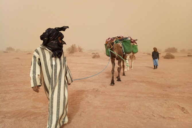 4 days trek - The legs of camels - A four-day trek through Morocco’s changing desert