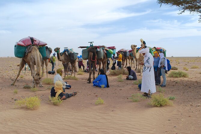 4 days trek - The legs of camels - How demanding is the four-day format?