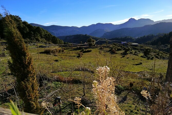 4 days trekking in the Rif mountains - What the private guide changes