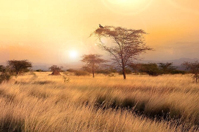 4 Days Trekking to Simien Mountain National Park - Why the Simien Mountains deserve four days