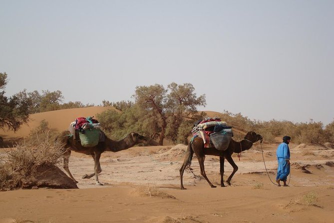 4 Days Trekking To The Heart Of Desert - Key points to know before booking