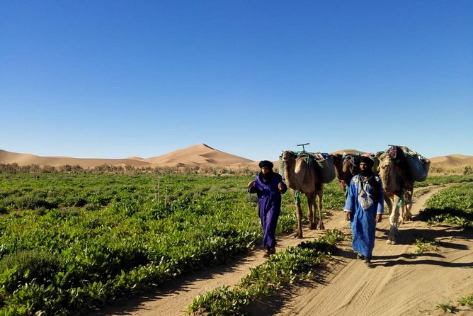 4 Days Trekking To The Heart Of Desert - Food, water, and camp life