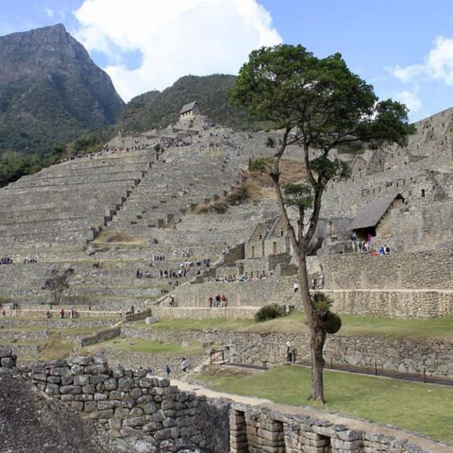 5-Day Classic Salkantay Trek to Machu Picchu return by Train - Day 5: Machu Picchu and the return to Cusco