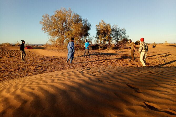 5-day trek - In the Draa Valley - Ergs, Dry Plains, and the Green Side of the Sahara