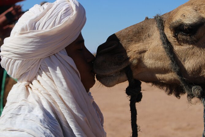 5-day trek - In the Draa Valley - A Closer Look at Nomadic Life