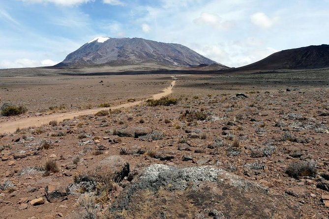 5 Days Marangu Route Kilimanjaro Trekking - Day 1: Rainforest, Maundi Crater, and Mandara