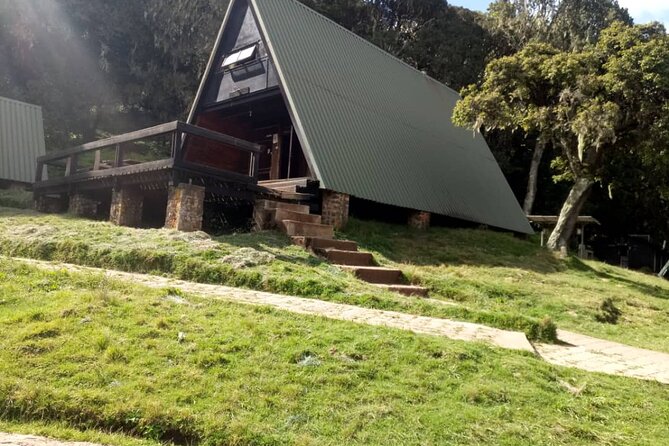 5 Days Marangu Route Kilimanjaro Trekking - Day 5: From Horombo through forest to Marangu Gate
