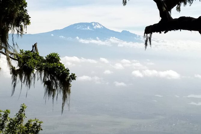 5 Days Marangu Route Kilimanjaro Trekking - The guide team and the human side of the climb