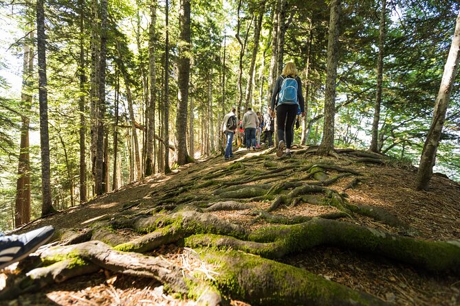 6 Day Tour - Trekking, Rafting, Jeep safari and Canyoning - Day 3: Rope work in Hrčavka Canyon
